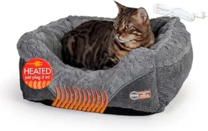 81sJQnJD6L. AC SX522 Home Critique