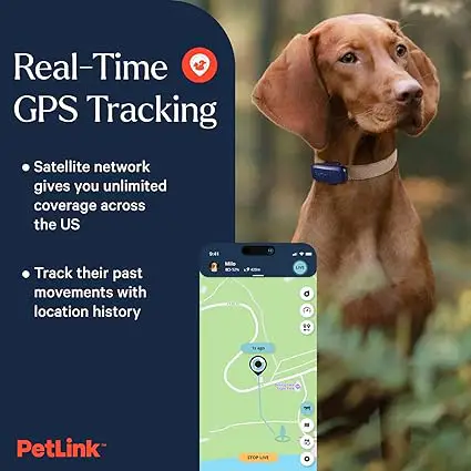 PetLink GPS Dog Tracker