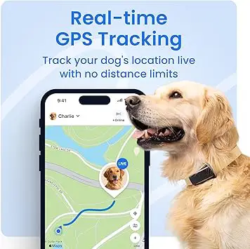 Tractive Smart Dog GPS Tracker Review – 5-in-1 Smart Safety Device 1 Tractive Smart Dog GPS Tracker