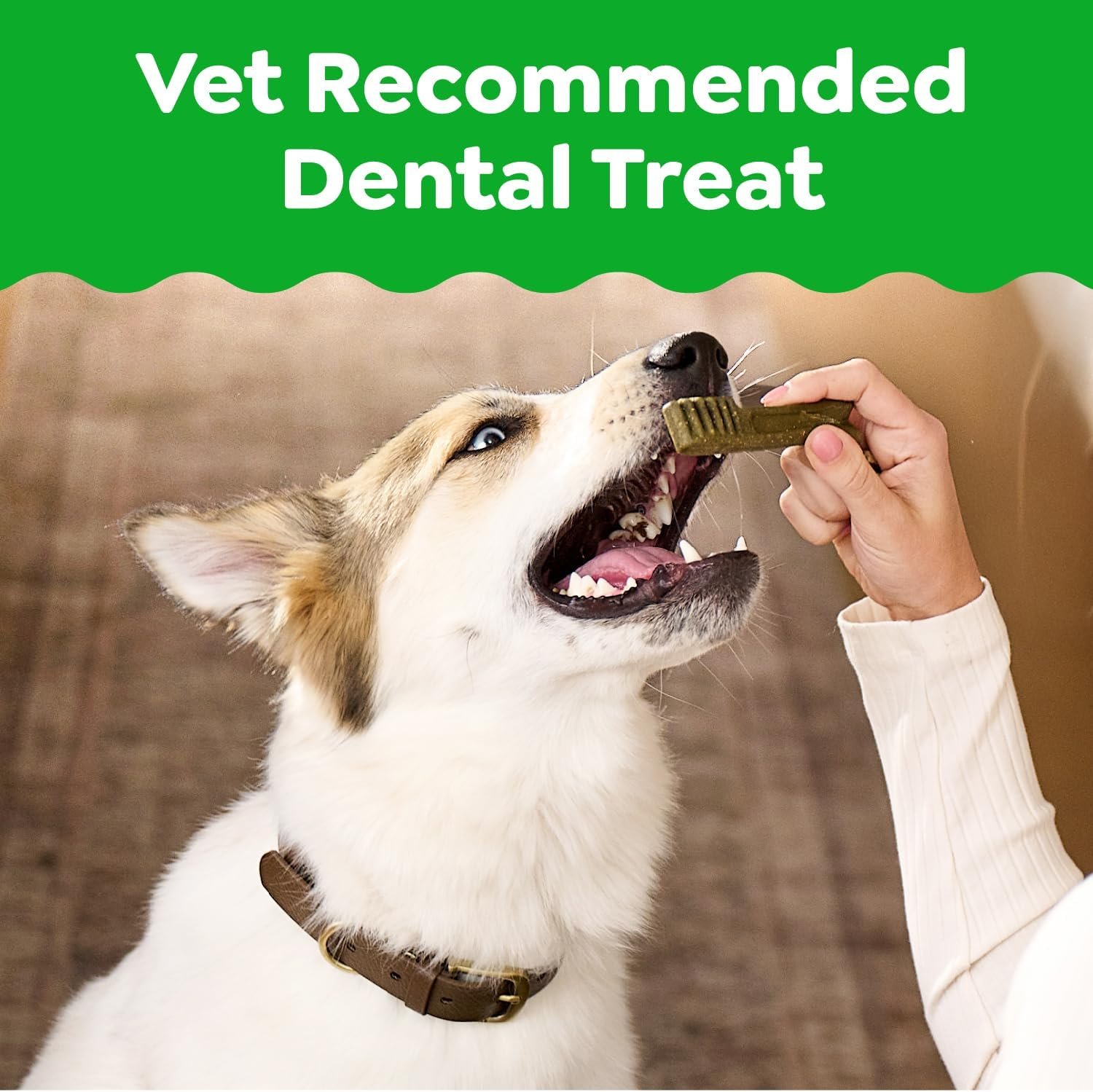 Greenies Dental Dog Treats