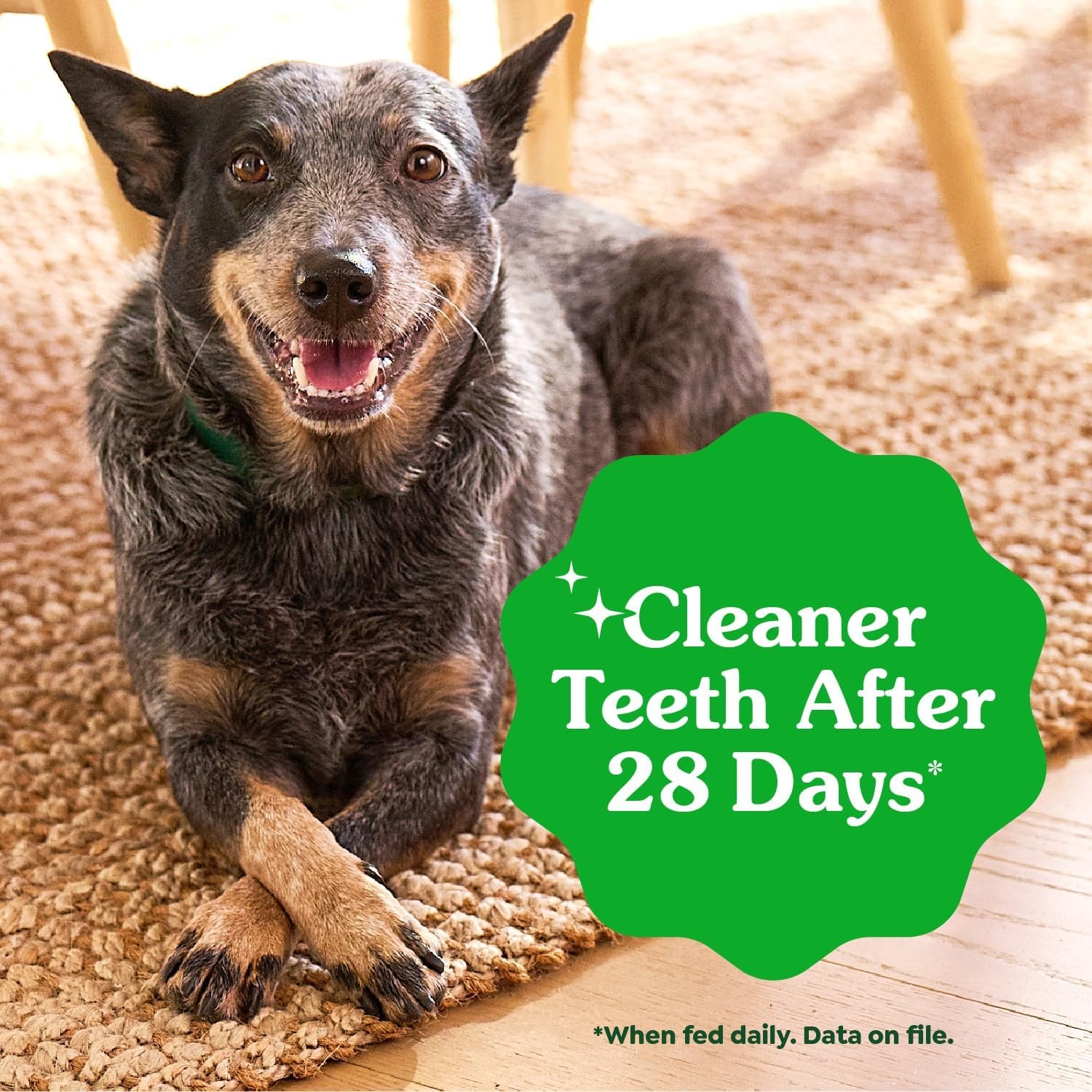 Greenies Dental Dog Treats