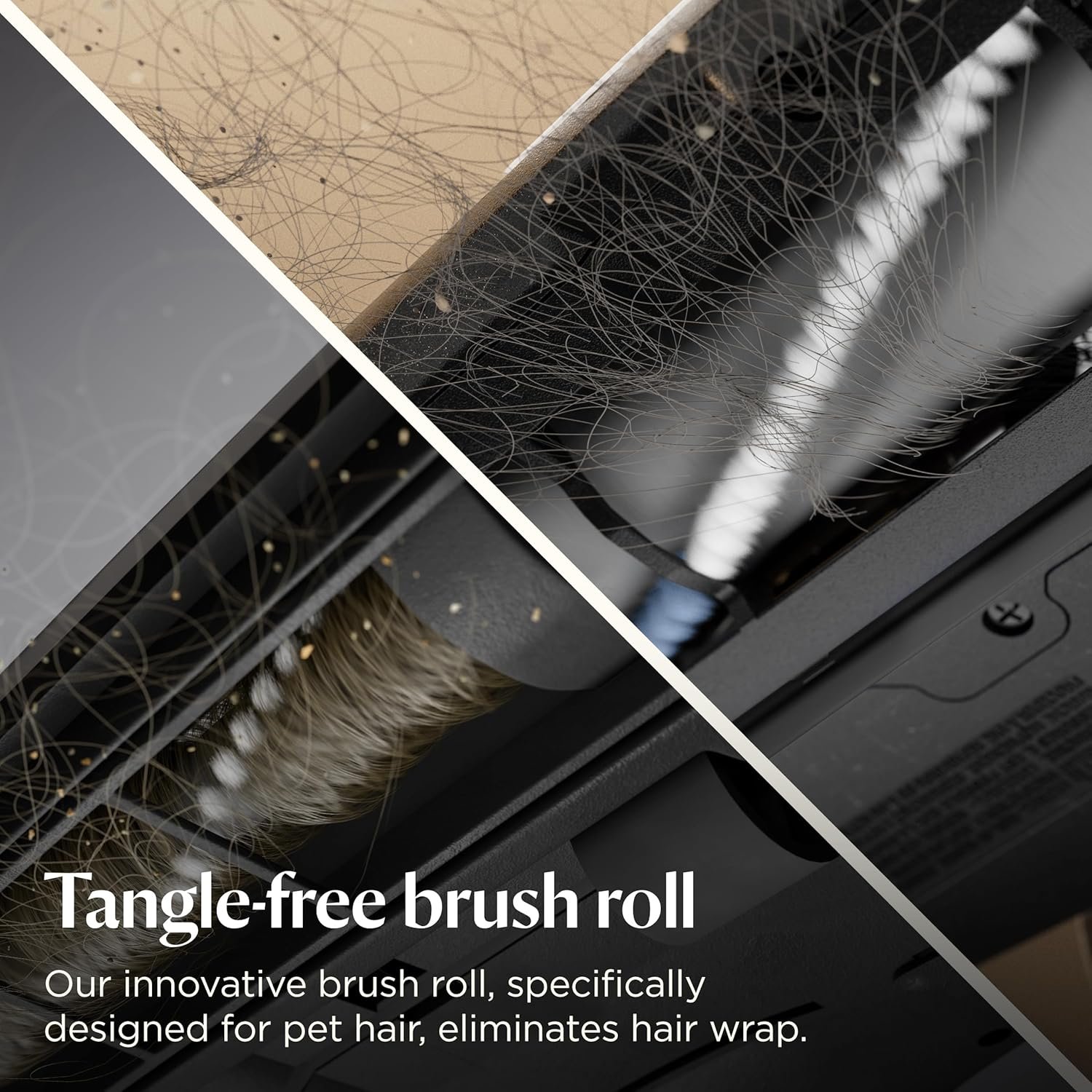 Bissell Pet Hair Eraser