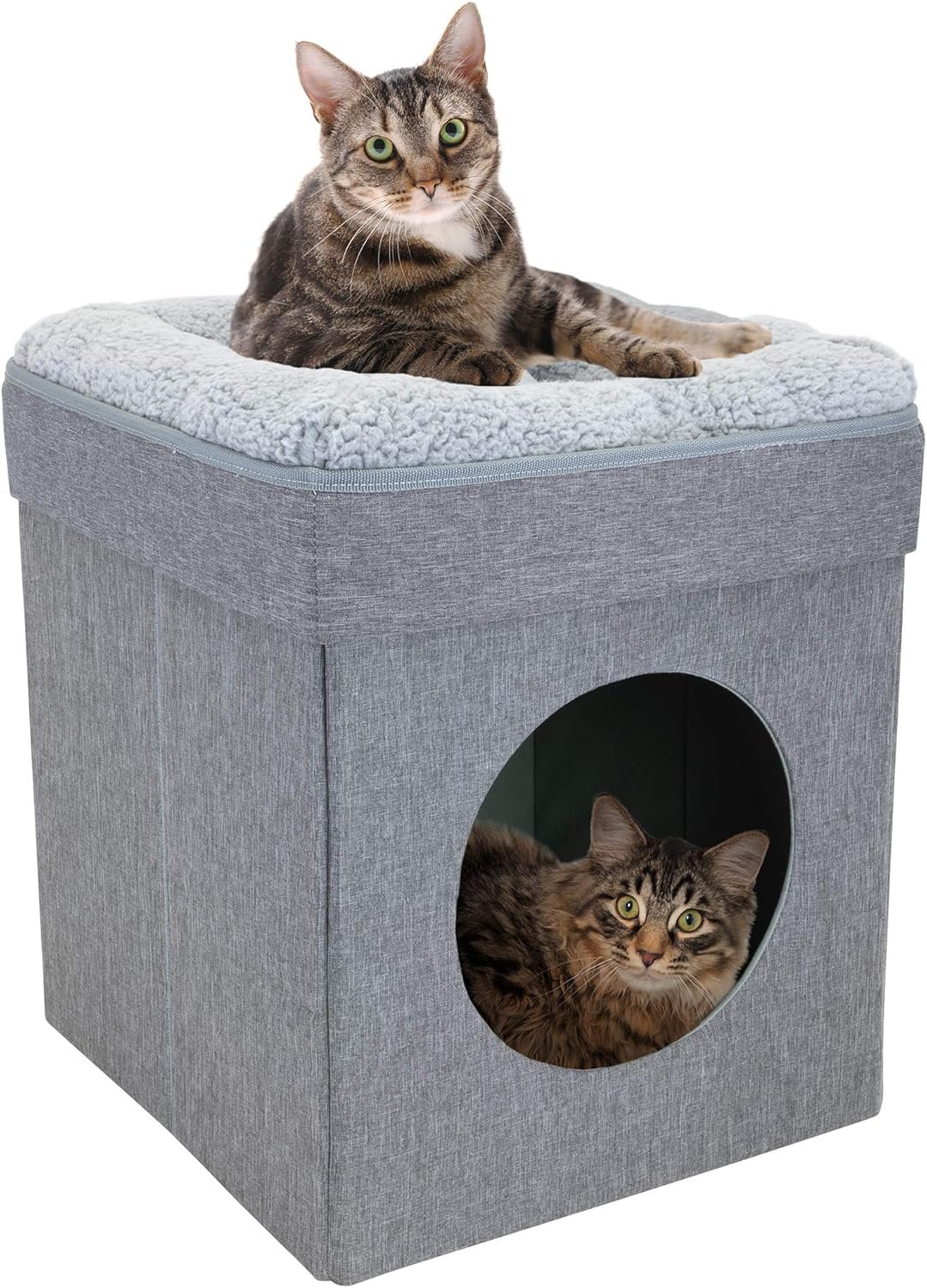 Kitty City Cat Cube