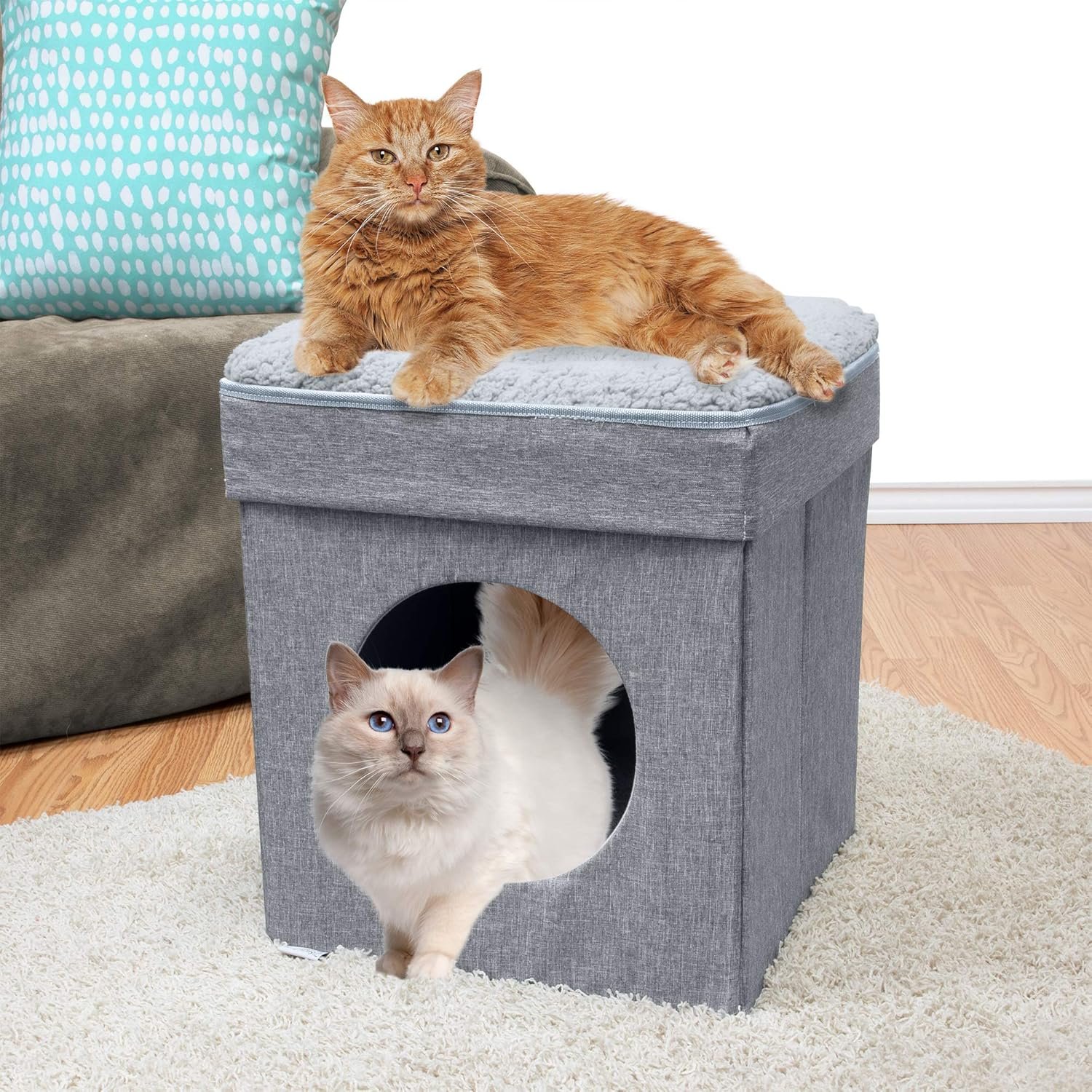 Kitty City Cat Cube