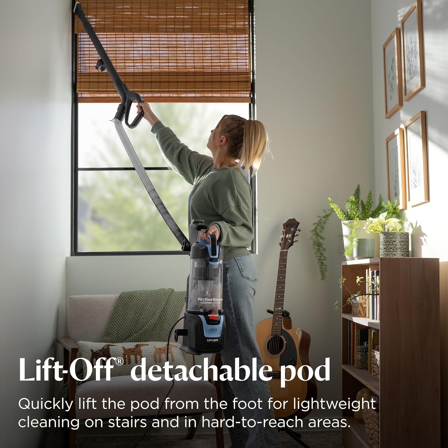 Bissell Pet Hair Eraser